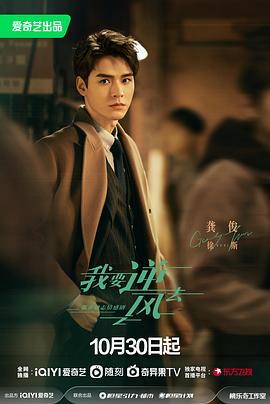 安徽seo排名哪家好些